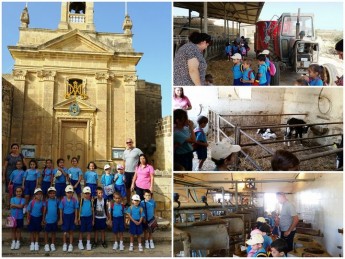 GC Kercem Primary students enjoy a trek around the local area