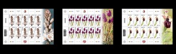 Maltese Flora philatelic stamps – Next in series being issued on Friday Maltese Flora philatelic stamps – Next in series being issued on Friday