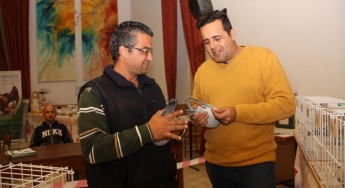 Victoria Racing Pigeon Society holds annual Gozo Pigeon Show Victoria Racing Pigeon Society holds annual Gozo Pigeon Show