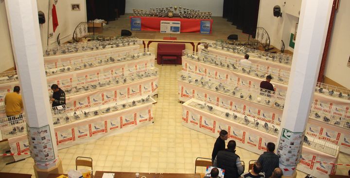 Victoria Racing Pigeon Society holds annual Gozo Pigeon Show