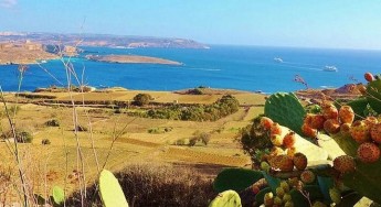 Gozo National Conference to encourage debate on tunnel project