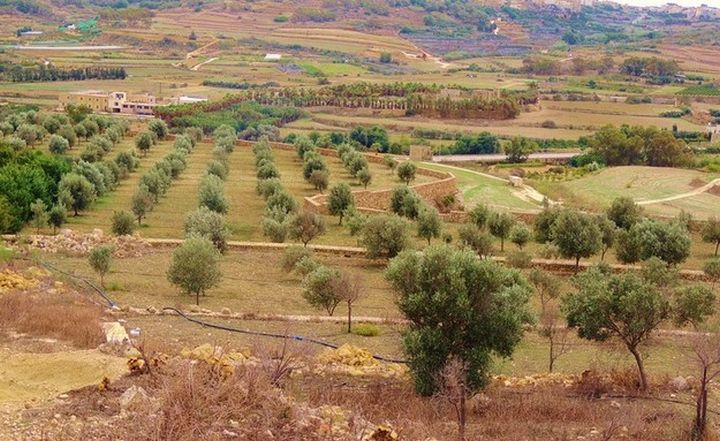 National Strategy for the Environment and revision for SPED launched