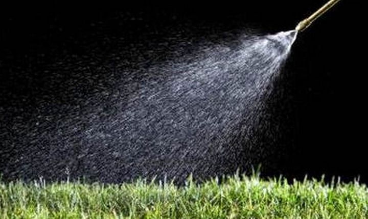 Glyphosate phase-out demanded by MEPs, with full ban by end 2022