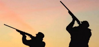 BirdLife Malta has “total disrespect” for European Directives, says KSU