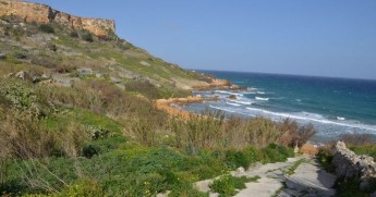 BirdLife Malta walk in Gozo from Mgarr to San Blas this Saturday BirdLife Malta walk in Gozo from Mgarr to San Blas this Saturday