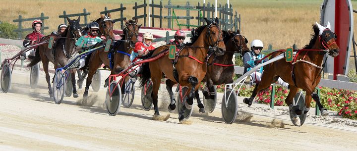 Gozo Horse Racing Association Workers' Day Special Races