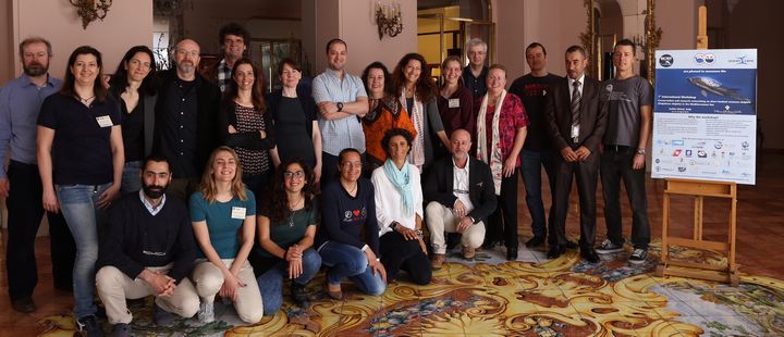 International Common Dolphin Workshop highlights conservation