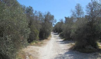 EIA is crucial before decision on relocation of Fuel Depot – NGOs EIA is crucial before decision on relocation of Fuel Depot – NGOs