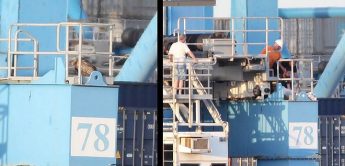 Stranded Griffon Vulture rescued from crane at the Freeport