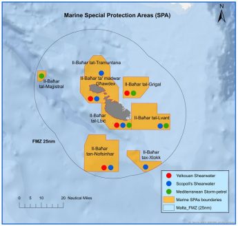 Malta’s first marine Special Protection Areas announced Malta’s first marine Special Protection Areas announced