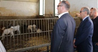 Management plans for 34 Natura 2000 sites to be launched