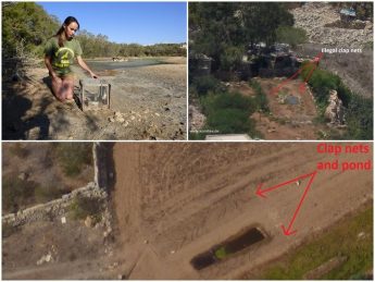 CABS find 6 illegal trapping sites on Gozo and Malta