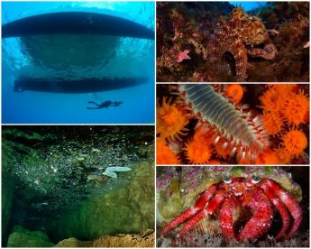 Extensive marine research in Malta concludes after 140 days at sea