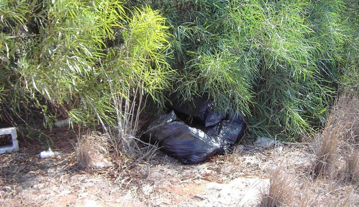 Nature Trust appeals for Country Wardens without further delay