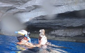 Update – Snorkeler retrieves shot Honey Buzzard from sea in Gozo