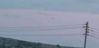 CABS film hunters shooting at protected Short-toed eagle