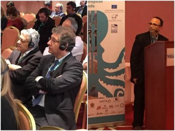 Gozo Business Chamber participates in Annual Forum of INSULEUR Gozo Business Chamber participates in Annual Forum of INSULEUR