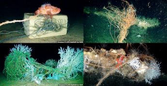 Littering problem discovered in deep sea around the Maltese Islands