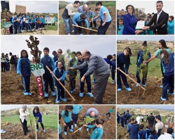 Gozitan school children ‘Plant a Tree for Peace’ on Ghammar Hill