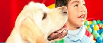 The Service Dog Malta Foundation meeting taking place in Sannat