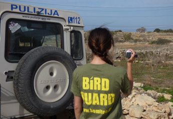 FKNK “protects poachers, tries to muzzle witnesses,” says CABS FKNK “protects poachers, tries to muzzle witnesses,” says CABS