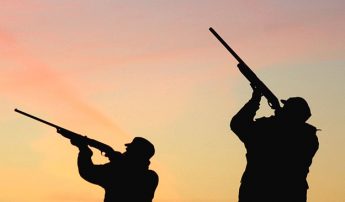 Firearms: Agreement reached on proposal to increase citizens’ security