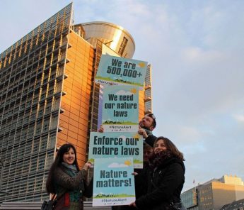 Huge Europe-wide public campaign helps saves EU nature laws