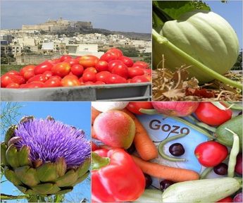 Volume of Gozitan fruit & veg down by 32% & wholesale value down 7%