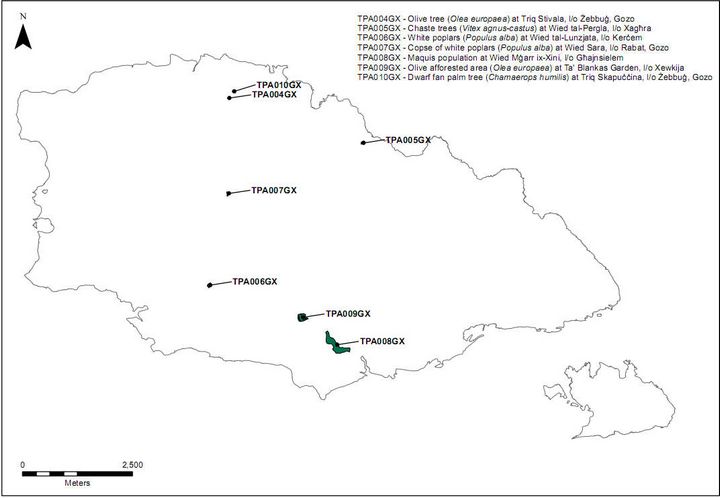 ERA protects rare and endangered trees in 30 areas, including 7 in Gozo