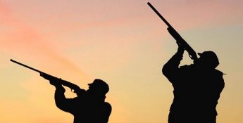 Update from KSU – Members of European Parliament call on Malta to close spring hunting season