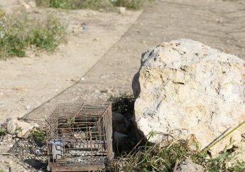 Gozo has greatest concentration of trapping sites – CABS Gozo has greatest concentration of trapping sites – CABS