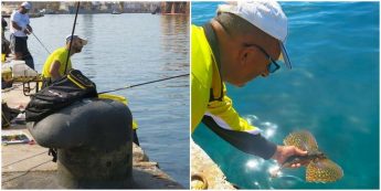 Collaboration toward conservation: the recreational sport fishermen case