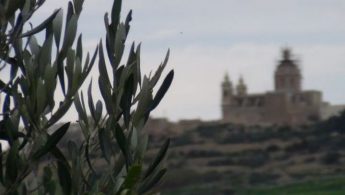 ERA objects to proposed Zebbug development in Gozo ERA objects to proposed Zebbug development in Gozo