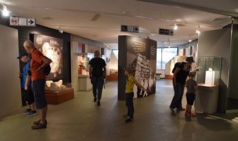 Guest arrivals and nights spent in Gozo both up in February – NSO