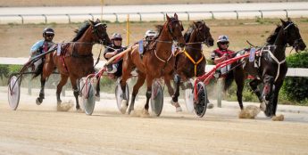 Gozo Horse Racing Association’s final races of the season this Sunday