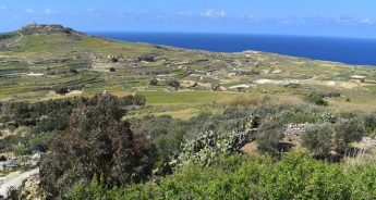 FoE Malta & FAA set out environmental proposals for political parties