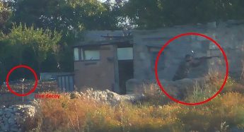 Police apprehend man filmed shooting and killing a Turtle Dove