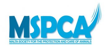 MSPCA: “Animals don’t have a vote but animal lovers do”