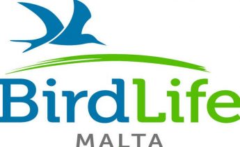 BirdLife Malta appeals for an environmental conscious Government