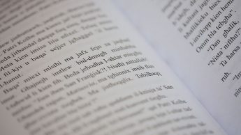 Youth and Literature highlighted at the Gozo Summer Book Festival