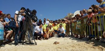 Luca the loggerhead turtle released back to the sea at Hondoq