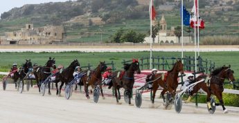 Gozo Horse Racing Association Pre-Season Race at Xhajma