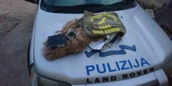 Wader trapper caught by Police, Honey Buzzard shot down – CABS