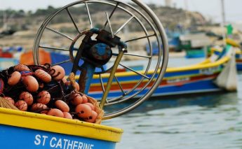 Short course open to the public on Fisheries and Aquaculture