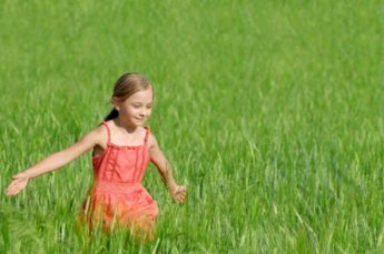 Church Environment Commission calls for respect for life in all its aspects