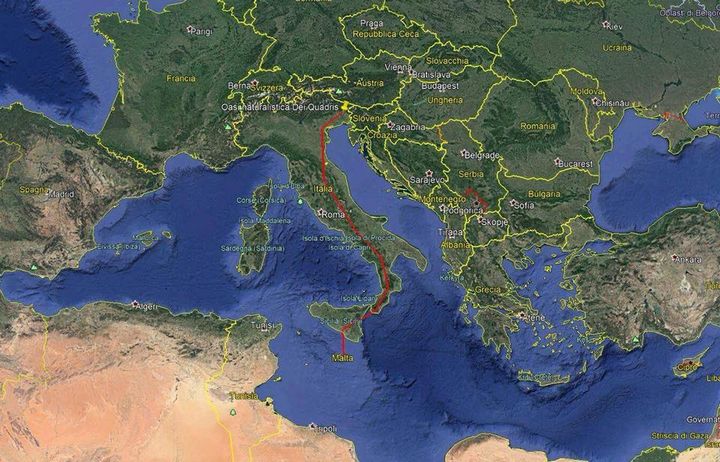 Bald Ibis, an endangered species, stops in Malta on migration route