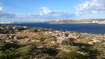 Majjistral Park celebrates 10th Anniversary with free school visits