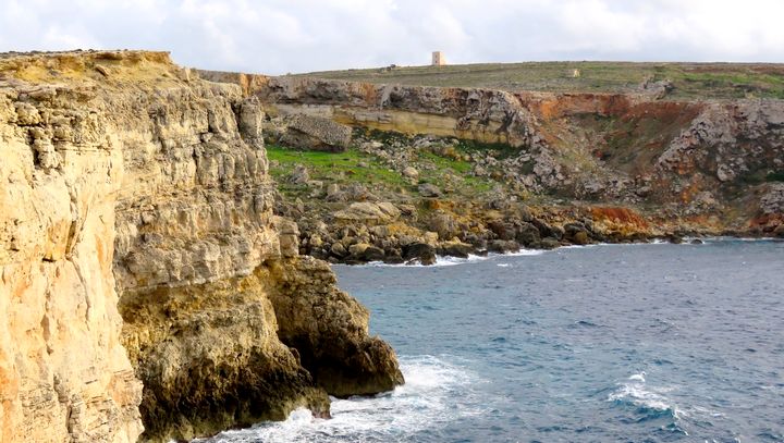 Back to the status quo on environment, says BirdLife Malta