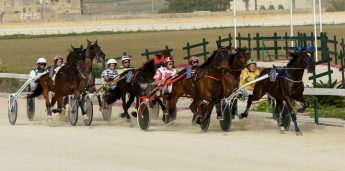 Gozo Horse Racing Association full programme of races tomorrow