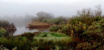 Christmas Nature Fair at Simar Nature Reserve with BirdLife Malta